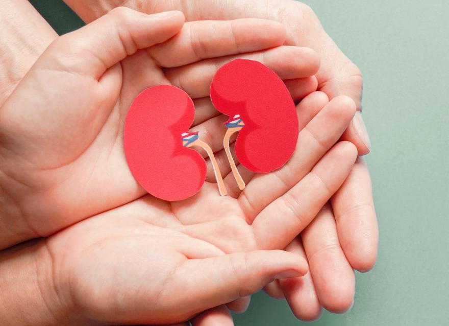 寶~腎好，才甚好！