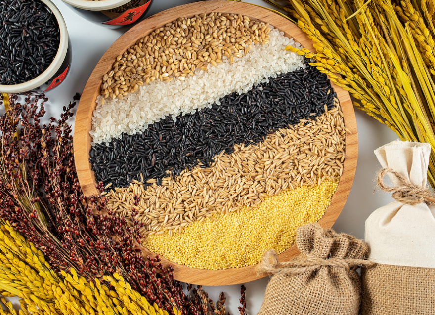 主食（碳水化合物）怎么吃？糖友血糖會更穩定？